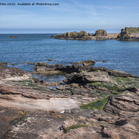Buy canvas prints of Belhaven Bay Dunbar by Kevin White