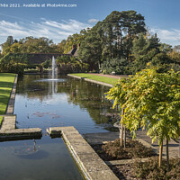 Buy canvas prints of RHS Wisley by Kevin White