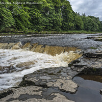 Buy canvas prints of Aysgarth falls in the Yorkshire Dales by Kevin White