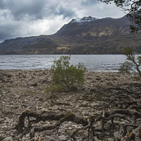 Buy canvas prints of Loch Maree by Kevin White