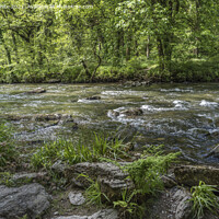 Buy canvas prints of Tarr Steps woodland walk by Kevin White