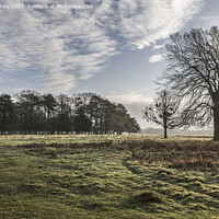 Buy canvas prints of February morning Bushy Park by Kevin White