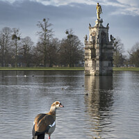 Buy canvas prints of The Diana Fountain in Bushy Park by Kevin White