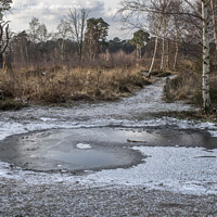 Buy canvas prints of Frozen path at ockham common by Kevin White