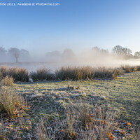 Buy canvas prints of Sun mist and frost by Kevin White