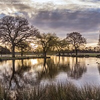 Buy canvas prints of Bushy Park at sunrise in March by Kevin White