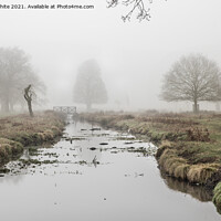 Buy canvas prints of Alone in the mist by Kevin White