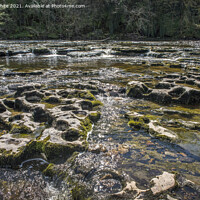 Buy canvas prints of Yorkshire Dales Best by Kevin White