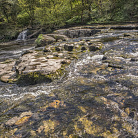 Buy canvas prints of Pure water of Aysgarth falls by Kevin White
