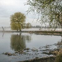 Buy canvas prints of misty pond with old tree by Kevin White