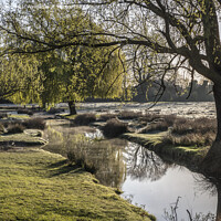 Buy canvas prints of little stream leading to pond by Kevin White