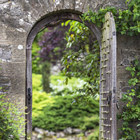Buy canvas prints of Secret garden by Kevin White