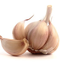 Buy canvas prints of Garlic bulb and cloves. by Peter Hatter
