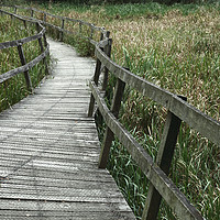 Buy canvas prints of A wooden bridge by Peter Hatter