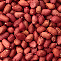 Buy canvas prints of Red Skin Peanuts by Peter Hatter
