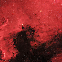 Buy canvas prints of The North America Nebula in Cygnus constellation by Łukasz Szczepański