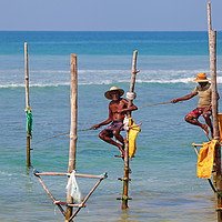 Buy canvas prints of Stilt fishing, Weligama, Sri Lanka by Łukasz Szczepański