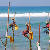 Buy canvas prints of Stilt fishing, Weligama, Sri Lanka by Łukasz Szczepański
