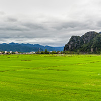 Buy canvas prints of Panorama of green rice fields and Phong Nha city by Łukasz Szczepański
