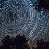 Buy canvas prints of Starry night sky, startrails between trees landsca by Łukasz Szczepański