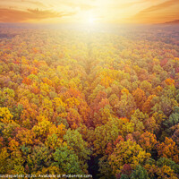 Buy canvas prints of Aerial view of road through colorful autumn forest by Łukasz Szczepański