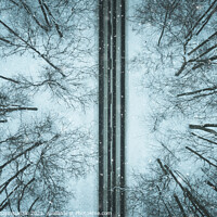 Buy canvas prints of Road through winter forest by Łukasz Szczepański