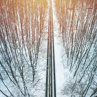Buy canvas prints of Road through winter forest towards setting sun by Łukasz Szczepański