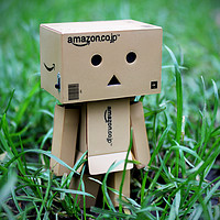 Buy canvas prints of Danboard / Danbo Amazon Figure searching the tall  by Jessica Richardson