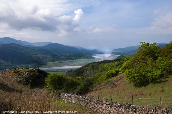 Mawddach Estuary with Cader Idris. Picture Board by Linda Cooke