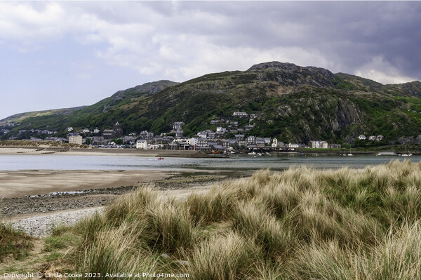 Barmouth and Dinas Oleu viewed across the River Mawddach estuary Picture Board by Linda Cooke