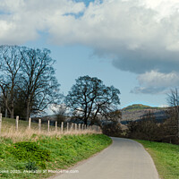 The Malvern Hills from Eastnor Deer Park.
