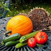 Buy canvas prints of Garden harvest by Linda Cooke