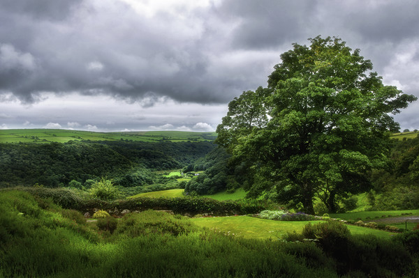 Looking over the Gwaun Valley Picture Board by Linda Cooke