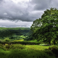 Buy canvas prints of Looking over the Gwaun Valley by Linda Cooke