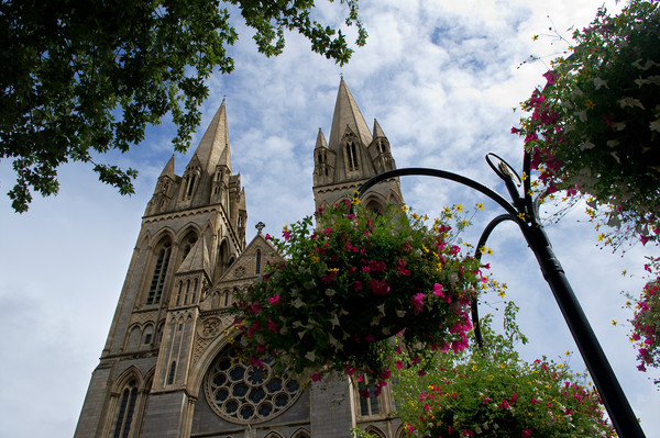 Flowers and cathedral, Truro Picture Board by Linda Cooke