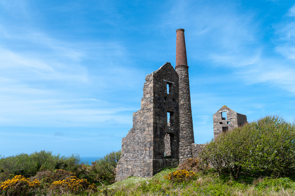 Carn Galver Tin Mine in Cornwall Picture Board by Linda Cooke