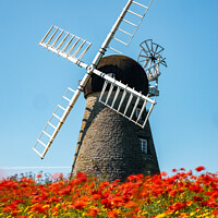 Buy canvas prints of The Flowering Windmill by Gary Clarricoates