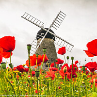 Buy canvas prints of Whitburn Windmill with Poppies by Gary Clarricoates