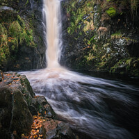 Buy canvas prints of A Northumberland Gem by Gary Clarricoates