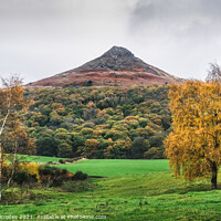 Buy canvas prints of Autumn at Roseberry Topping by Gary Clarricoates