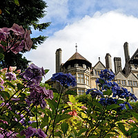 Buy canvas prints of Cragside House and Gardens by Gary Clarricoates