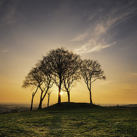 Buy canvas prints of Sunburst on Copt Hill by Gary Clarricoates