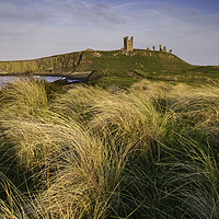 Buy canvas prints of Golden light at Dunstanburgh Castle by Gary Clarricoates