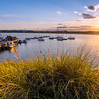 Buy canvas prints of Golden Grasses at Beadnell by Gary Clarricoates