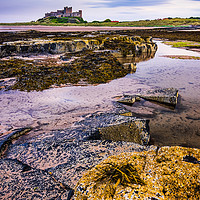 Buy canvas prints of Solitude at Bamburgh by Gary Clarricoates