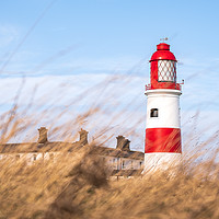 Buy canvas prints of Souter Lighthouse by Gary Clarricoates