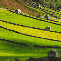 Buy canvas prints of Patterns from Swaledale by Gary Clarricoates