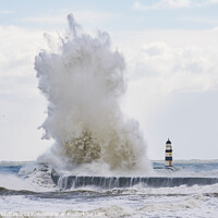 Buy canvas prints of Huge Waves at Seaham Reaching the Sky by Gary Clarricoates