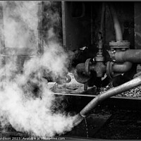 Buy canvas prints of Letting off Steam by Brian Sandison