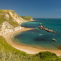 Buy canvas prints of Dorset Coastline on a hot summer day by Alan Hill